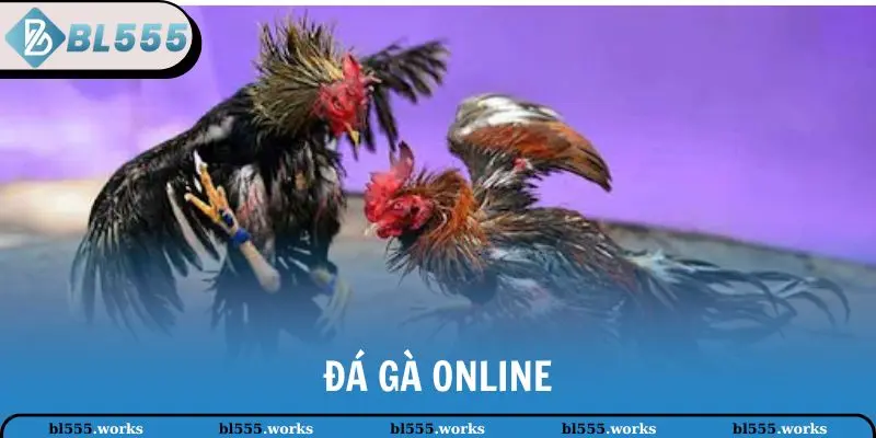 Đá Gà Online - Hình Thức Giải Trí Hấp Dẫn Tại Nhà Cái BL555 1 đá gà online