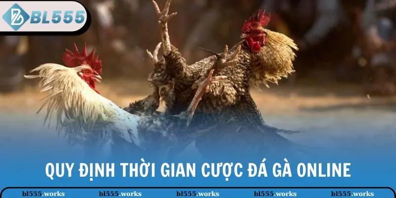 Đá Gà Online - Hình Thức Giải Trí Hấp Dẫn Tại Nhà Cái BL555 4 Quy định thời gian cược đá gà online