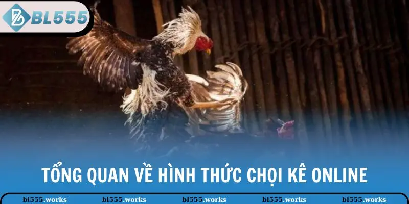 Đá Gà Online - Hình Thức Giải Trí Hấp Dẫn Tại Nhà Cái BL555 2 Tổng quan về hình thức chọi kê online